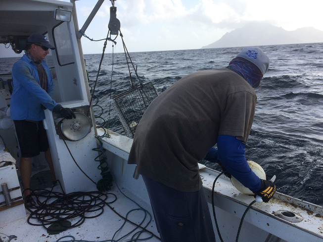 Participatory observation: joining Saban fishermen on a typical work day, catching lobster and redfish. PAR Save our Sharks, Saba.